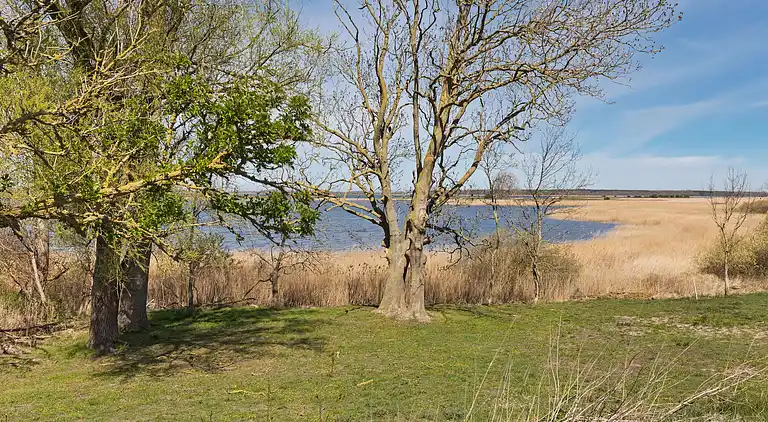 Appartement in Kapelle