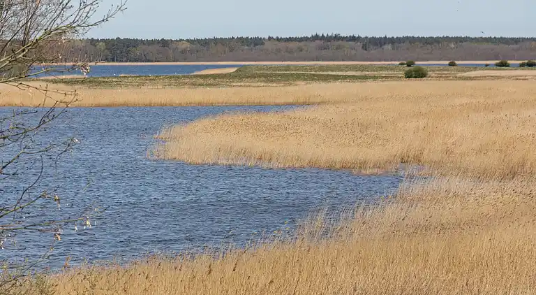 Appartement in Kapelle