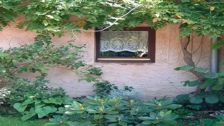 Hytte i Wingen-sur-Moder