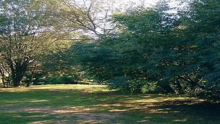 Hytte i Wingen-sur-Moder