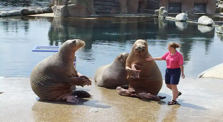 Holiday home in Ermelo