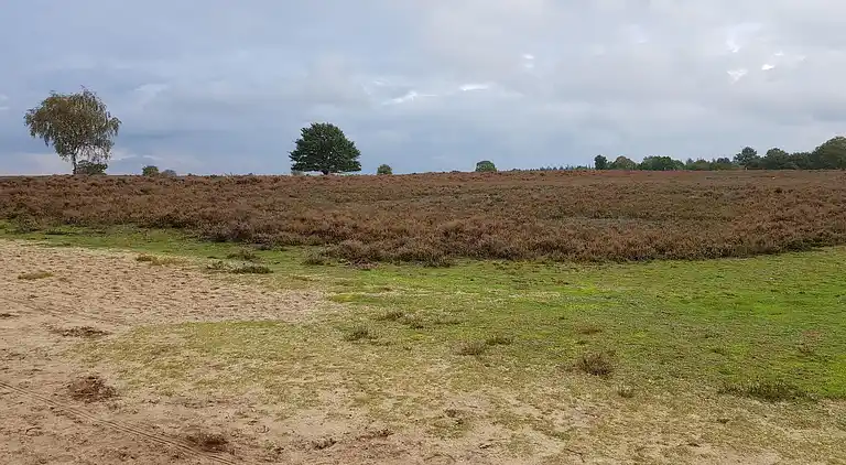 Holiday home in Ermelo