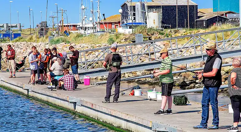 Holiday home in Ringkobing