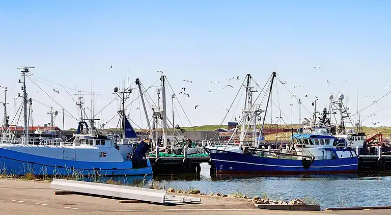 Holiday home in Ringkobing