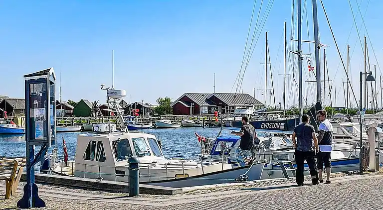 Feriebolig i Ringkobing