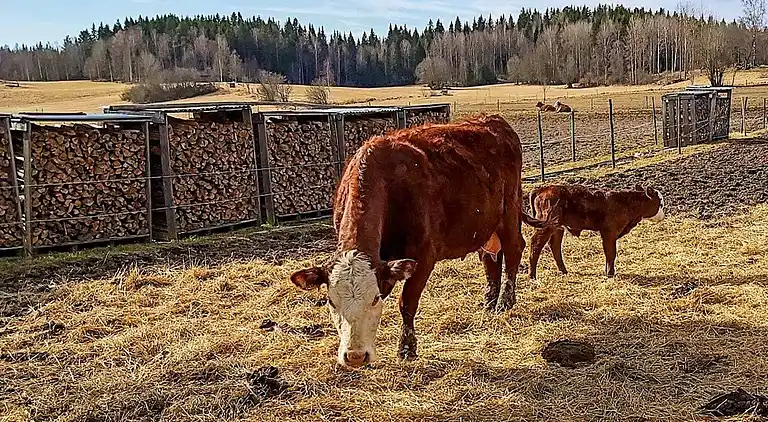 Sommerhus i Smedjebackens