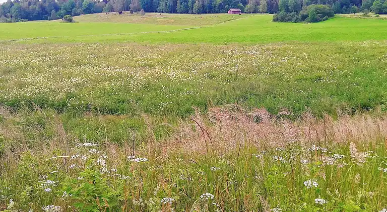 Sommerhus i Smedjebackens