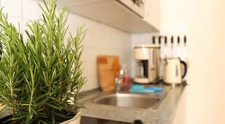 Apartment in Rostock