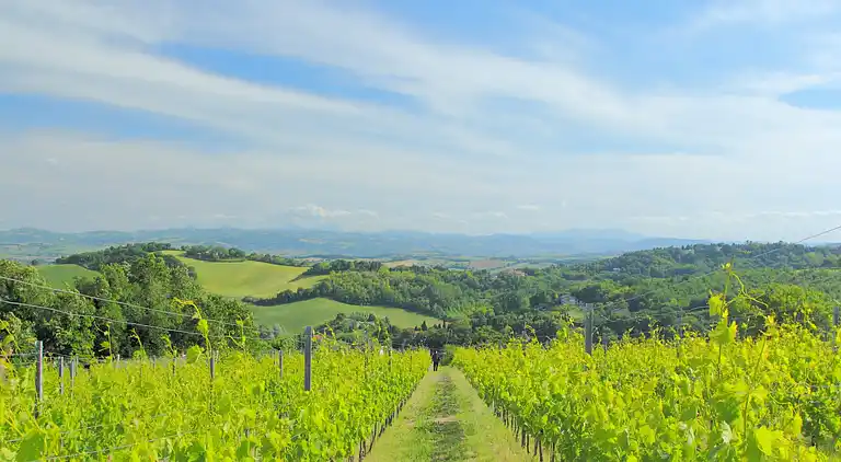 Sommerhus i Apecchio