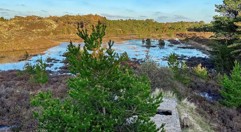Holiday home in Bolilmark