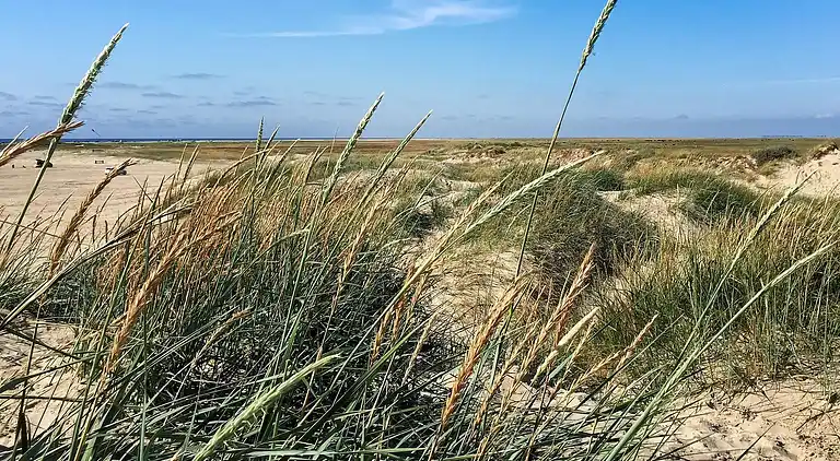 Holiday home in Bolilmark