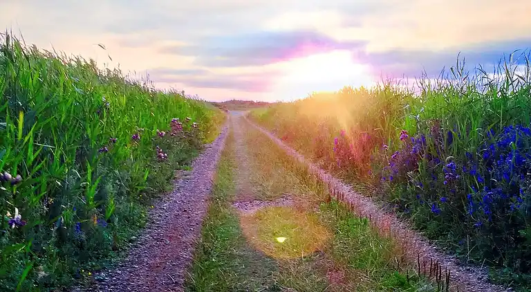 Holiday home in Bolilmark