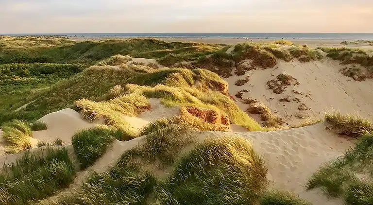 Holiday home in Bolilmark