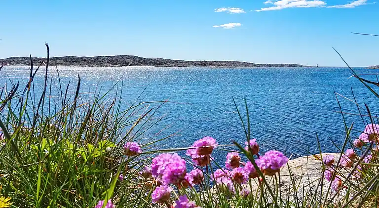 Holiday home in Orust