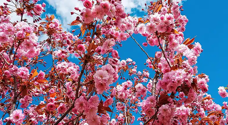 Holiday home in Orust