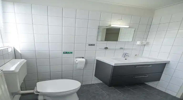 Vakantiehuis in Lemele