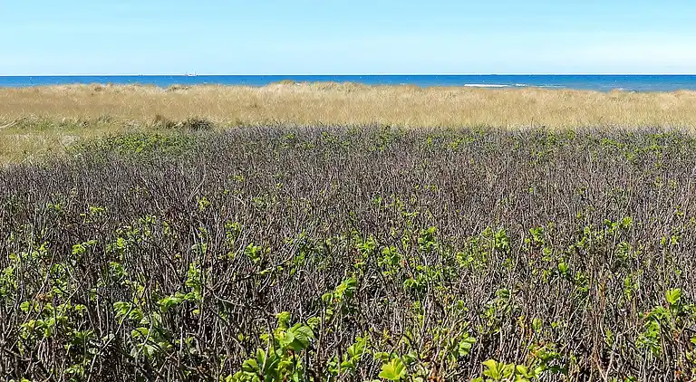 Sommerhus i Lønstrup