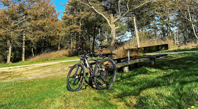 Sommerhus i Bork Havn