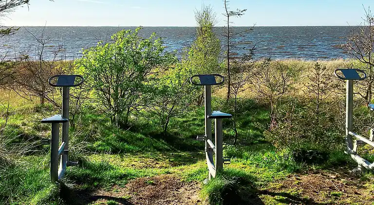 Sommerhus i Bork Havn