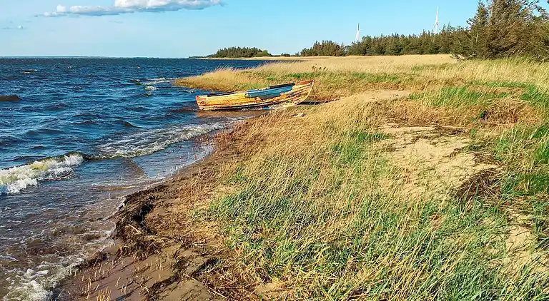 Sommerhus i Bork Havn