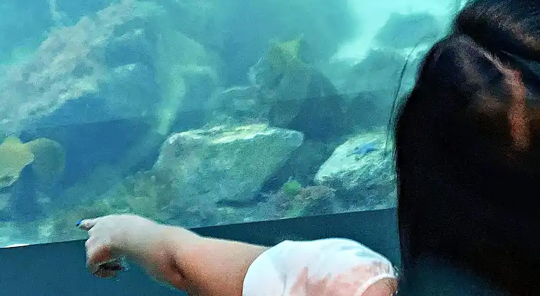 Holiday home in Lindesnes Municipality