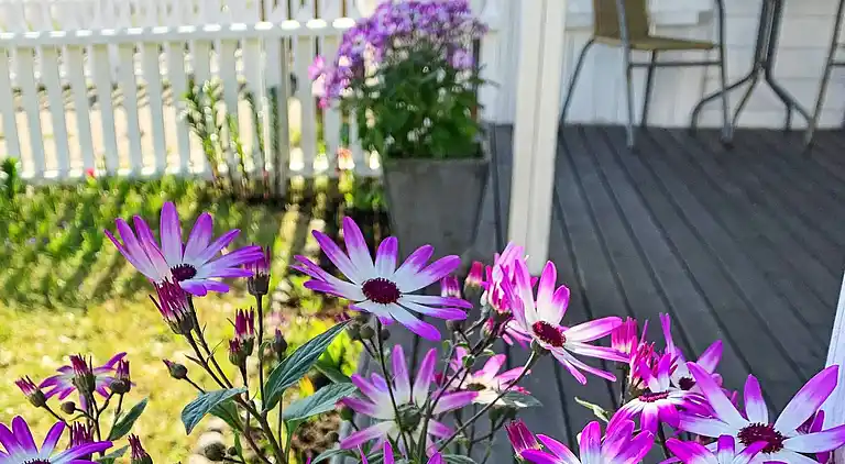 Holiday home in Lindesnes Municipality