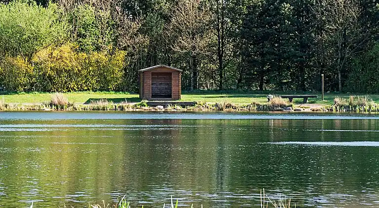 Holiday home in Branderup J
