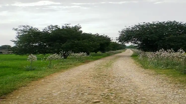 Sommerhus i Crestatx