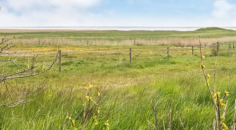 Holiday home in Havneby