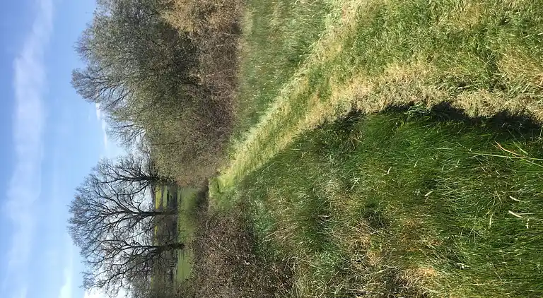 Holiday home in Rezay