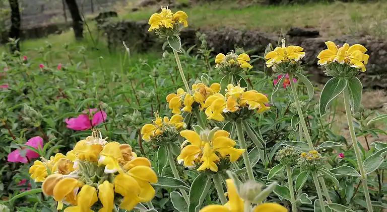 Holiday home in Mascali