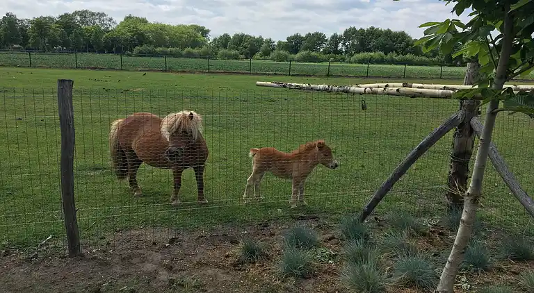 Sommerhus i Nistelrode