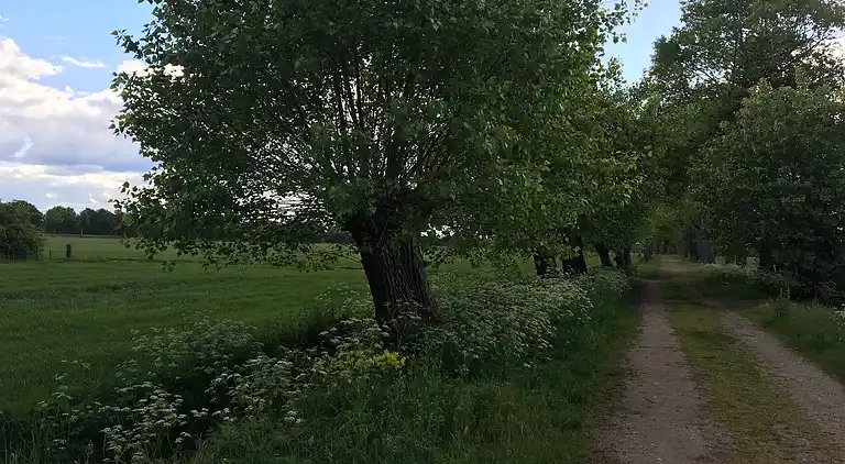 Sommerhus i Nistelrode