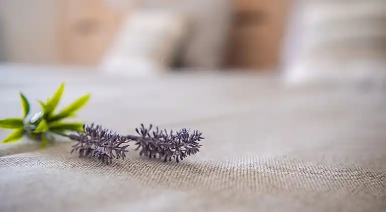 Holiday home in Lage Mierde