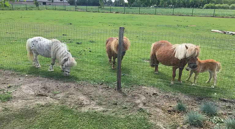 Sommerhus i Nistelrode