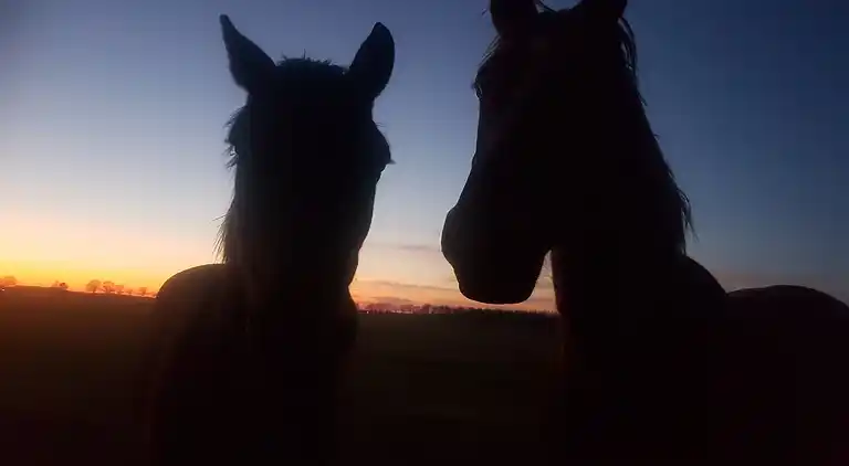 Vakantiehuis in Lemele