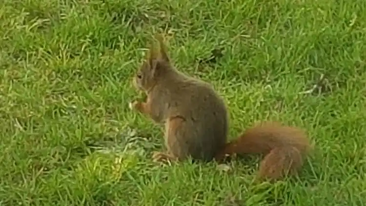 Vakantiehuis in Lemele