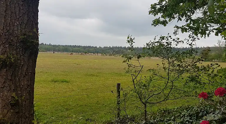 Vakantiehuis in Lemele