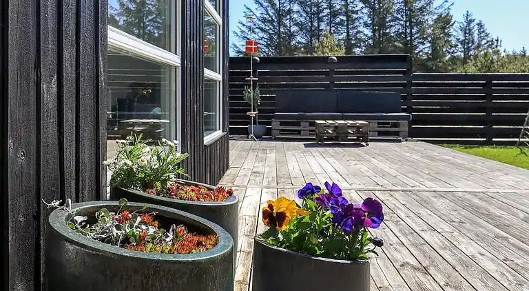 Sommerhus i Thisted