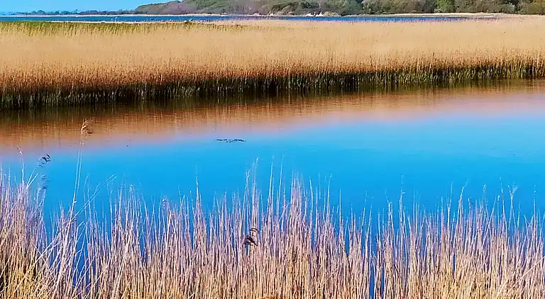 Ferienhaus in Kronsgaard