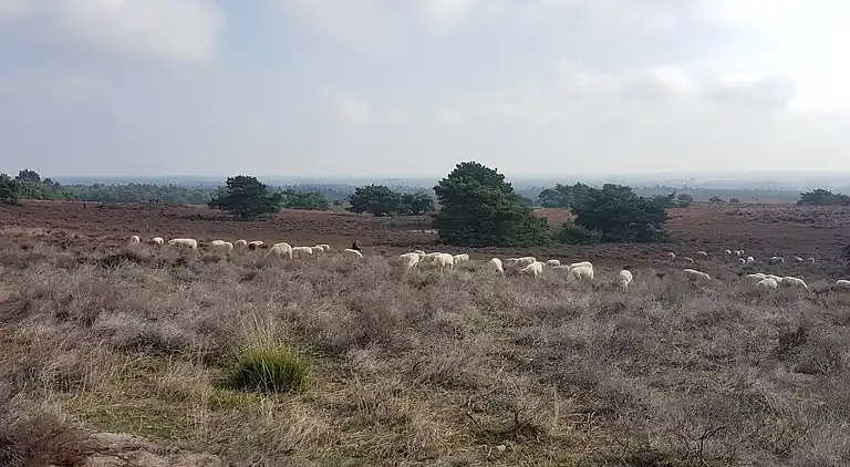 Vakantiehuis in Lemele
