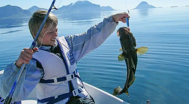 Holiday home in Harstad Municipality