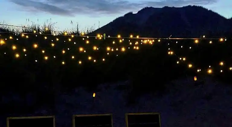 Holiday home in Saltum