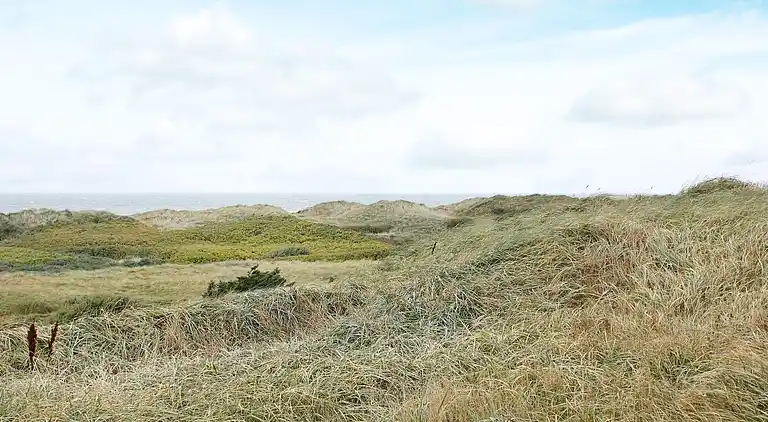 Sommerhus i Grønhøj