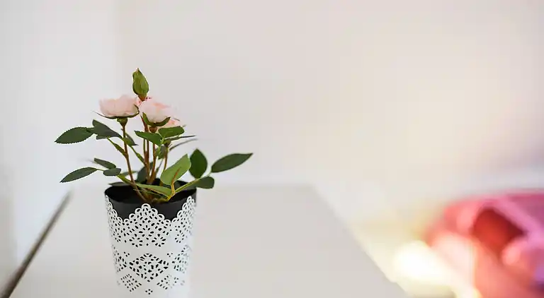 Ferienhaus in Sauerland