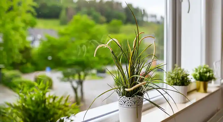 Ferienhaus in Sauerland