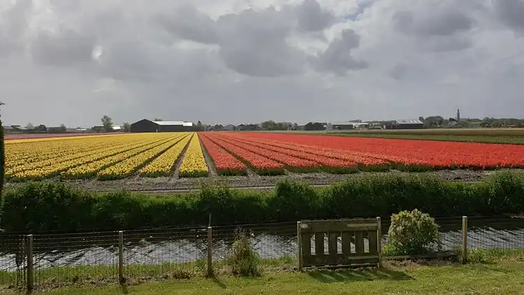 Sommerhus i Zuid-Holland