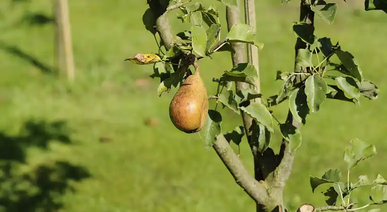 Holiday home in Heeten