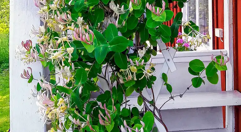 Sommerhus i Smedjebackens