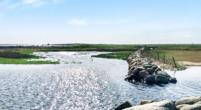 Holiday home in Varberg S